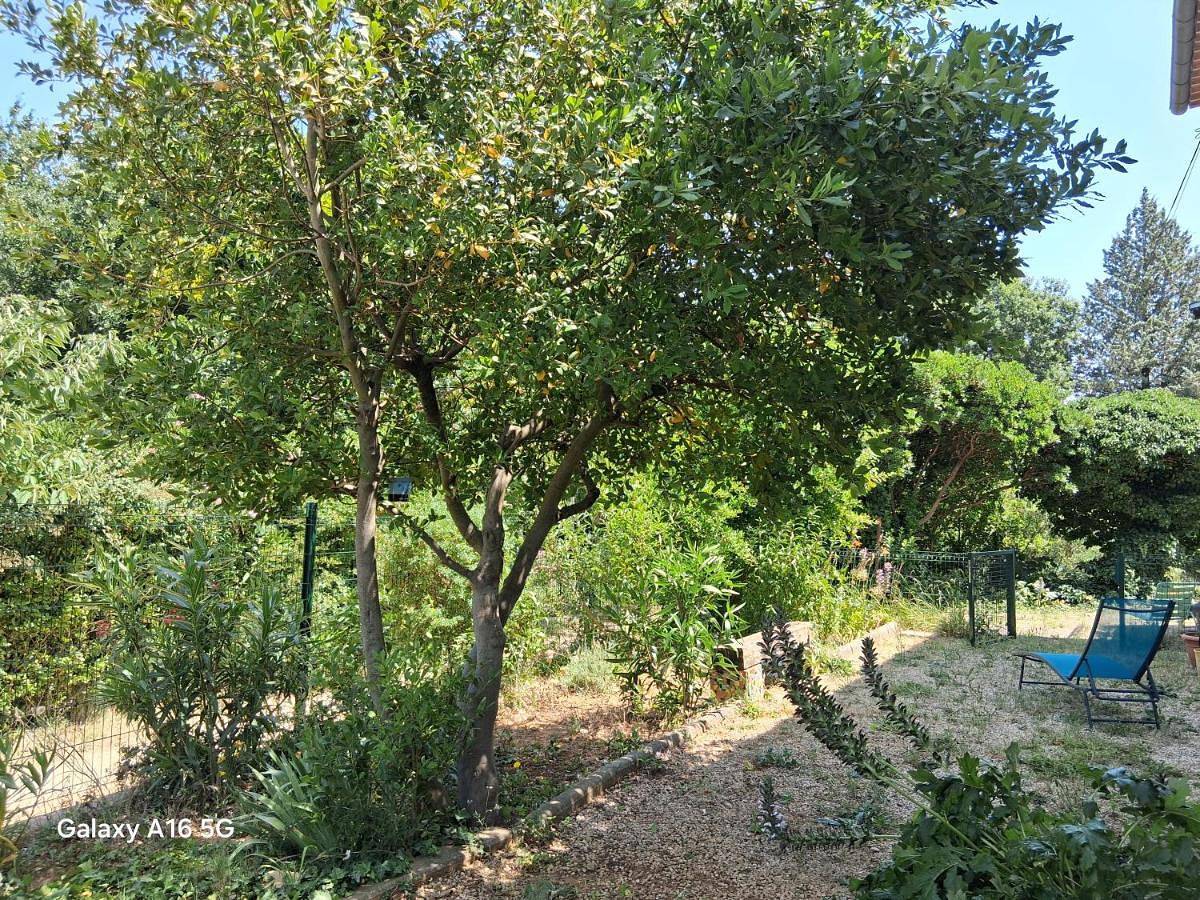 Appartement entier, Appartement plain-pied in Piolenc, Vaucluse