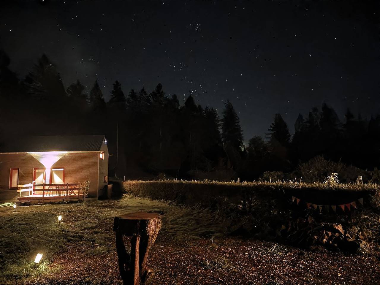 Tinyhouse-Abenteuer „Wald-Fritzl“ im Thüringer Wald mit Hund in Frauenwald, Rennsteig