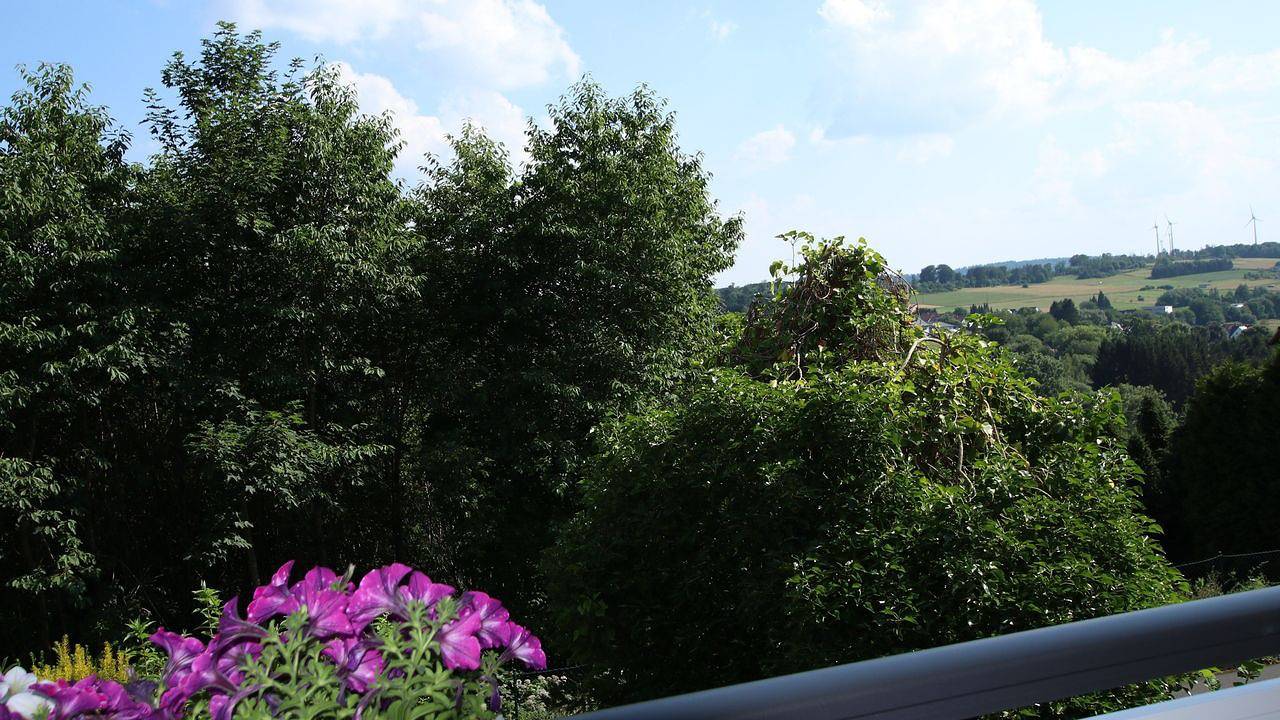Ganze Ferienwohnung, Ferienwohnung für 3 Personen (90 m²) in Driedorf in Driedorf, Lahn-Dill-Kreis