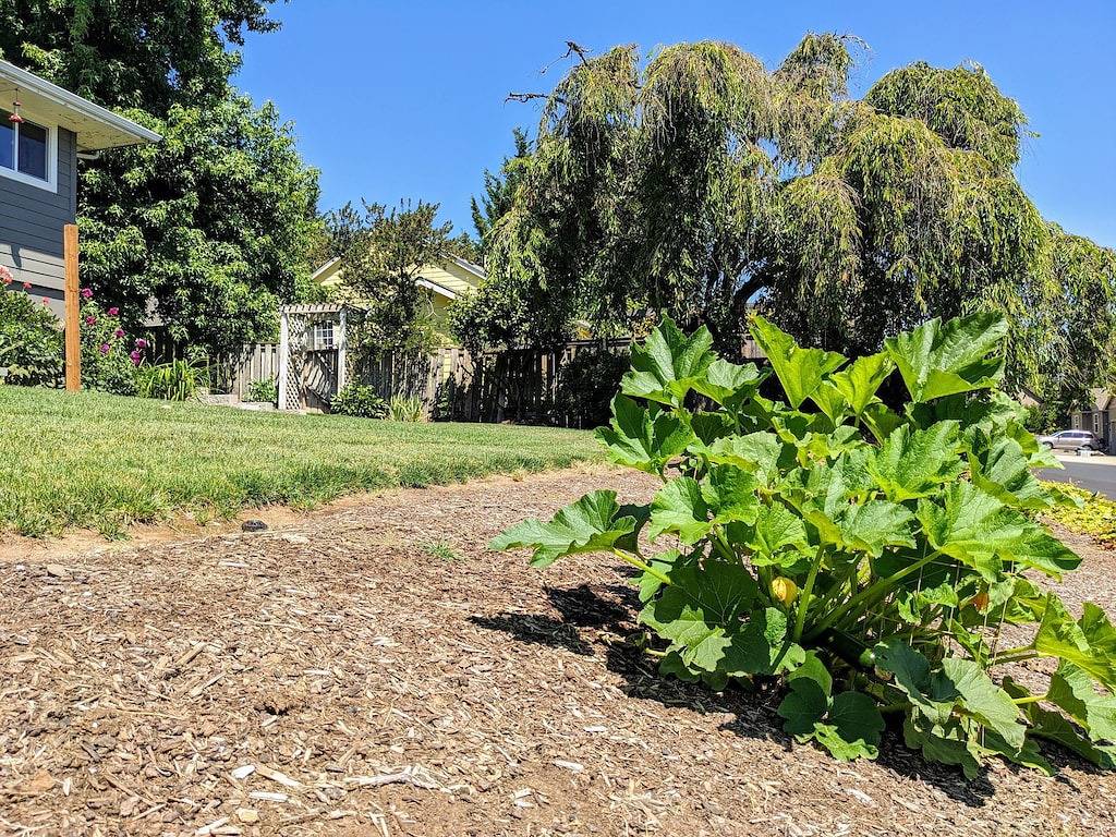 Moderner Rückzugsort im Herzen von Dundee - tierfreundlich! in Dundee (OR), Yamhill County