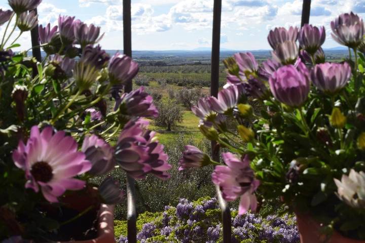 Bed and breakfast per 6 persone, con balcone e giardino nonché panorama - 1