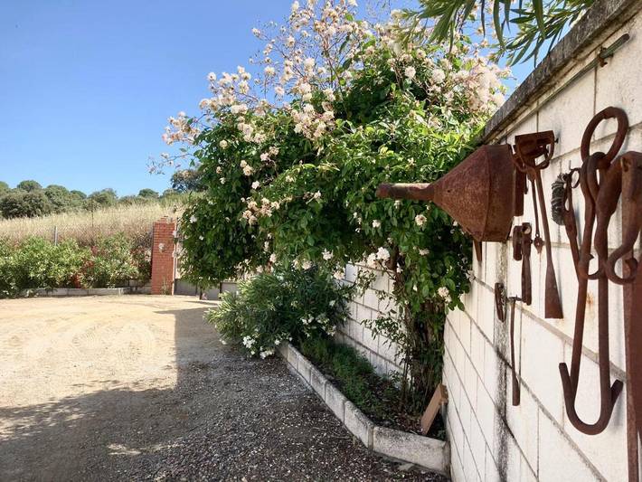 Casa de vacaciones para 8 personas, con vistas además de piscina y jardín, Se admiten mascotas en Valle del Guadiato - 3