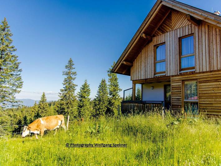 Chalet in den Alpen mit Sauna in Lavanttaler Alpen