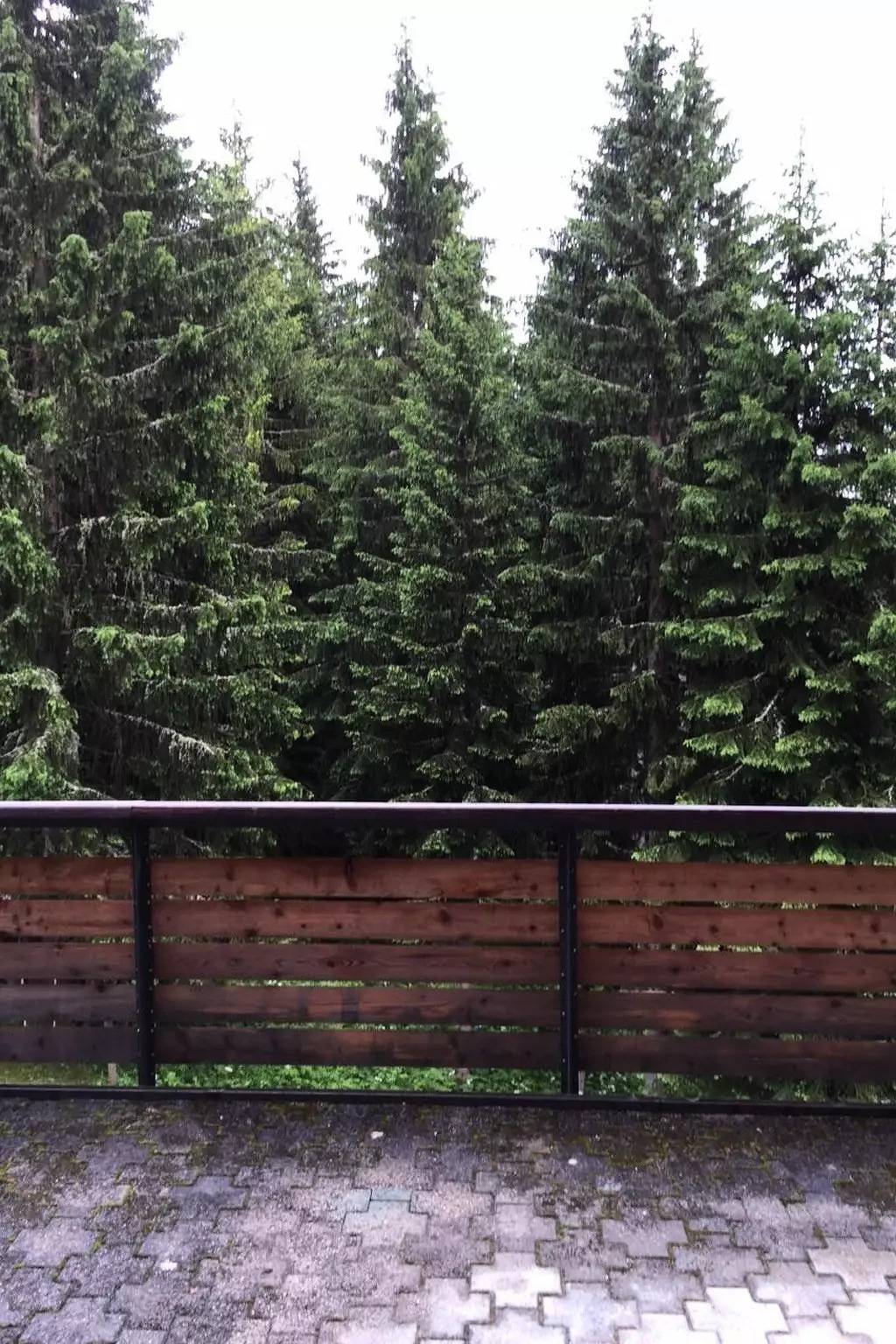 Haus 5 Personen in Flüelapass, Davos
