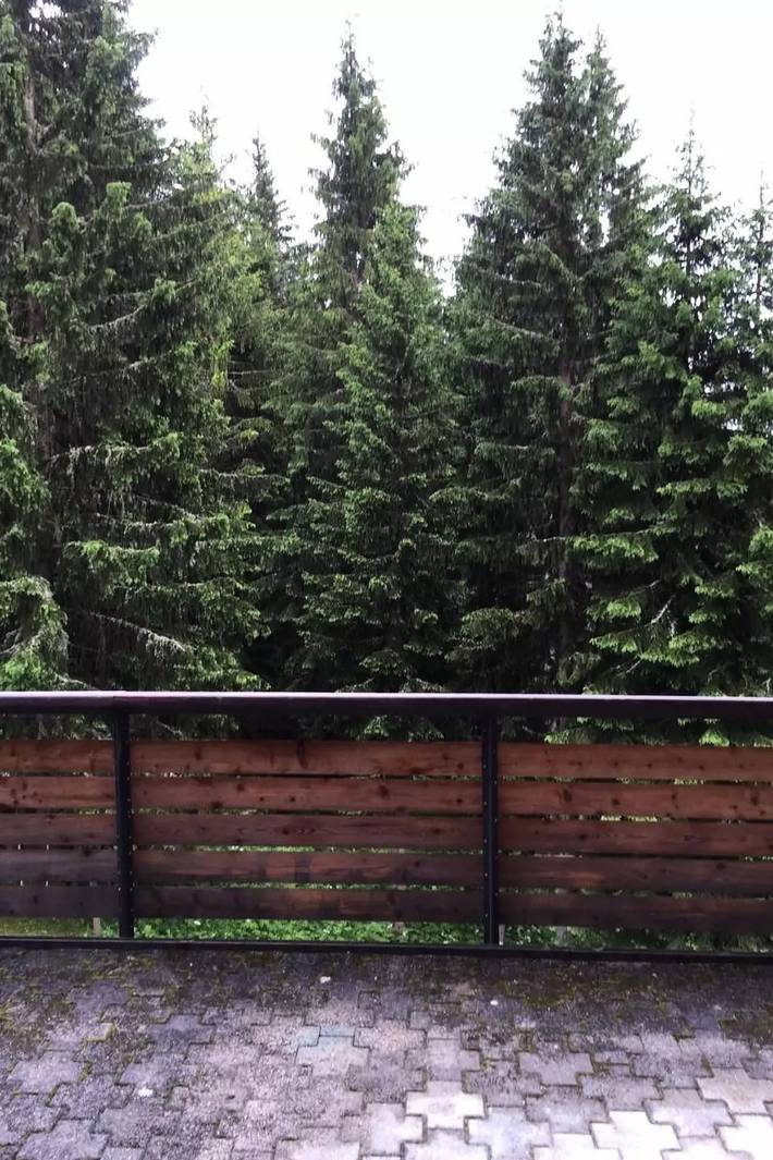 Location de vacances pour 5 personnes, avec jardin à Davos - 3