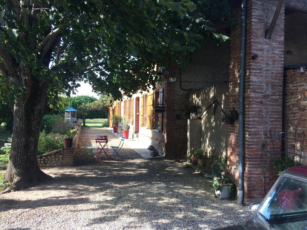 Triple Room with Shared Bathroom in Auterive, Haute-Garonne