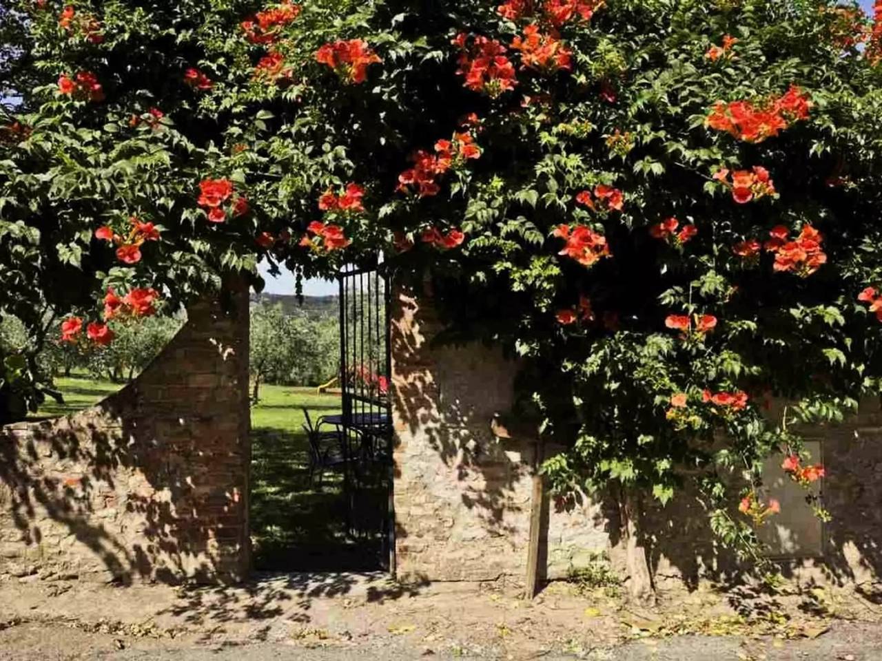 Geheel appartement, 5 kamers 6 personen in Montelupo Fiorentino, Provincie Florence