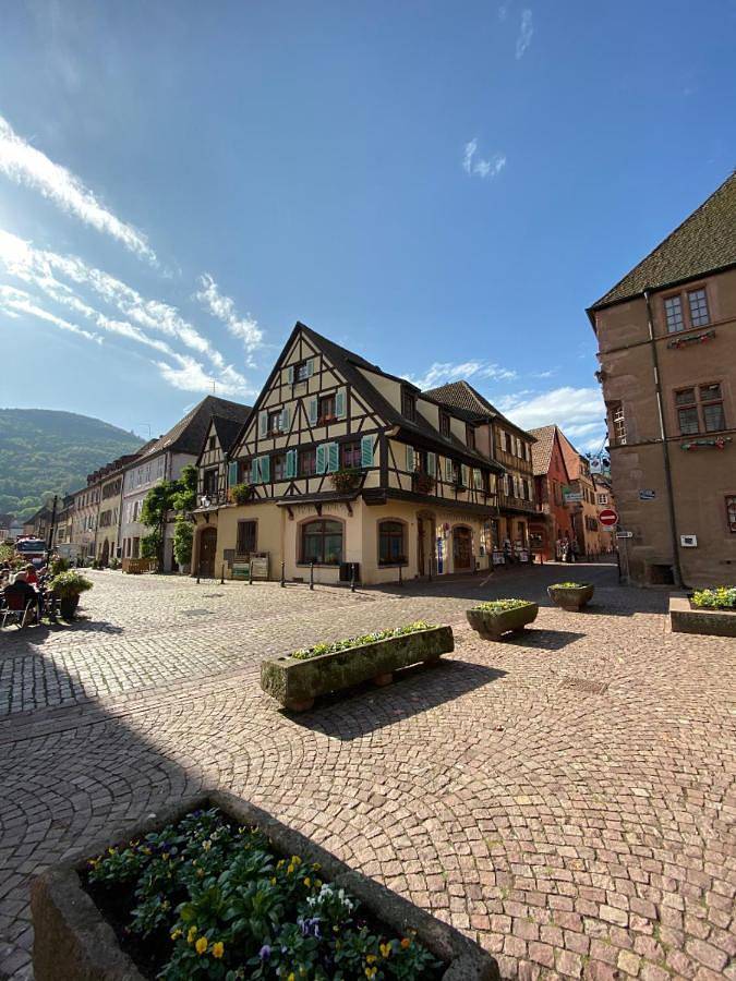Appartement entier, Coeur d'alsace in Kaysersberg, Parc naturel régional des Ballons des Vosges