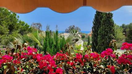 view of accommodation