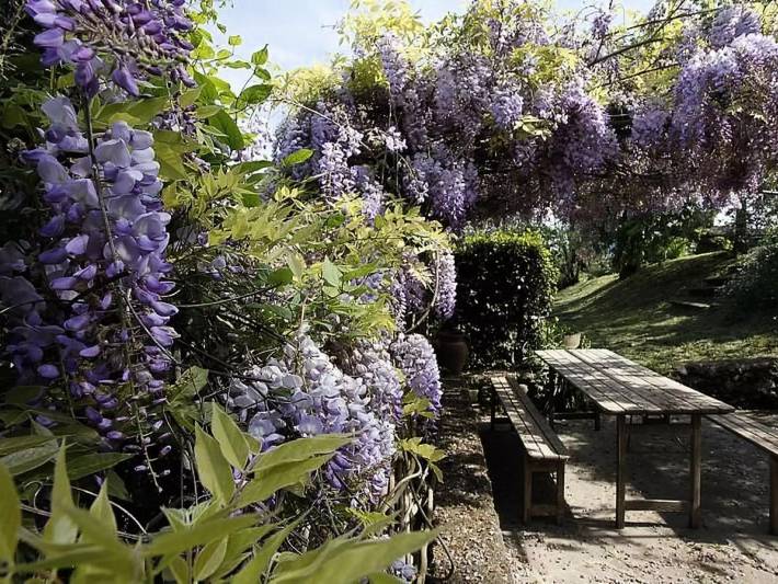 Gîte pour 3 personnes, avec piscine et jardin à San Casciano in Val di Pesa - 2