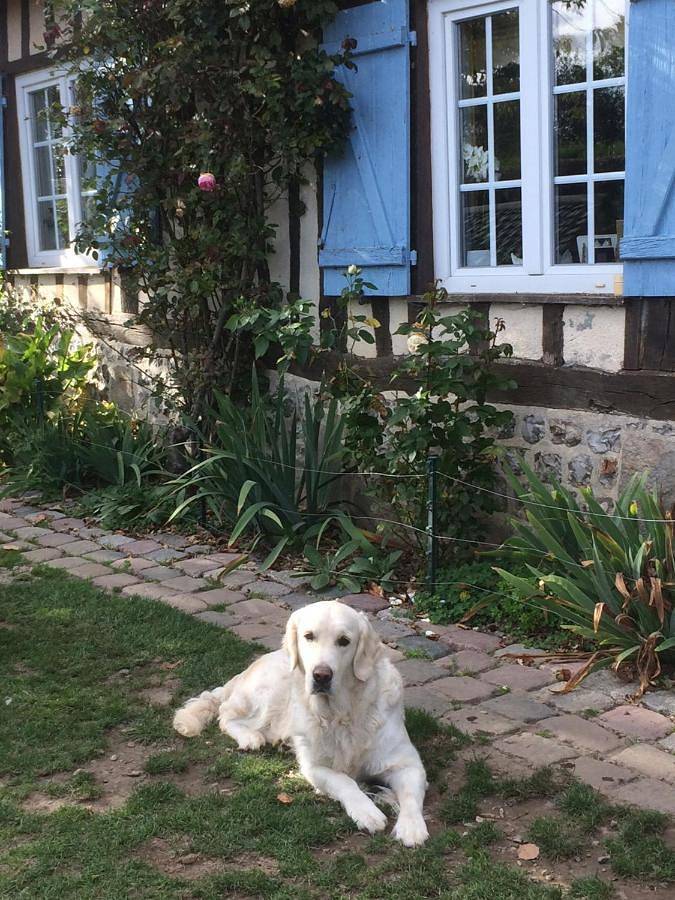 Location de vacances pour 2 personnes, avec jardin et terrasse, animaux acceptés à Sainte-Colombe - 4