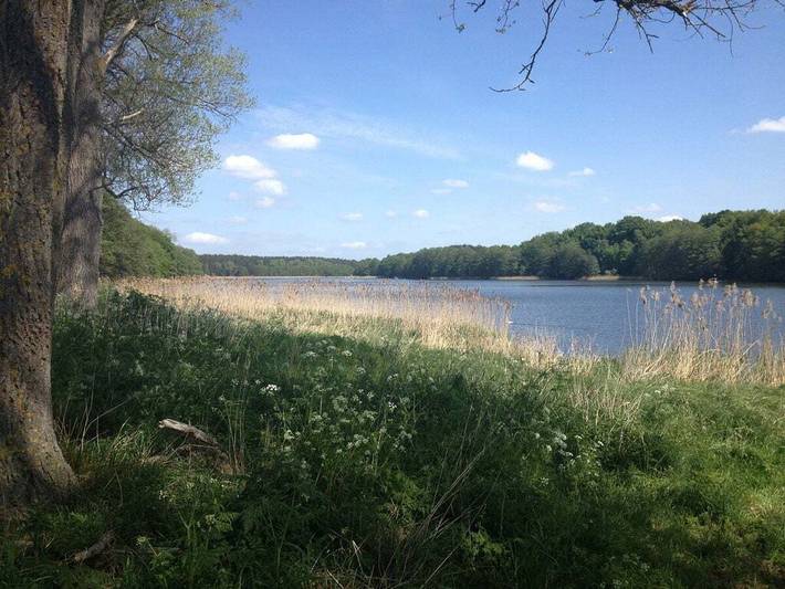 Bauernhof für 10 Personen, mit Garten und Sauna in Mecklenburg-Schwerin - 2