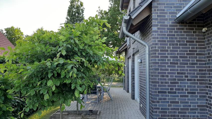 Ferienhaus für 5 Personen, mit Garten in Rieste - 3