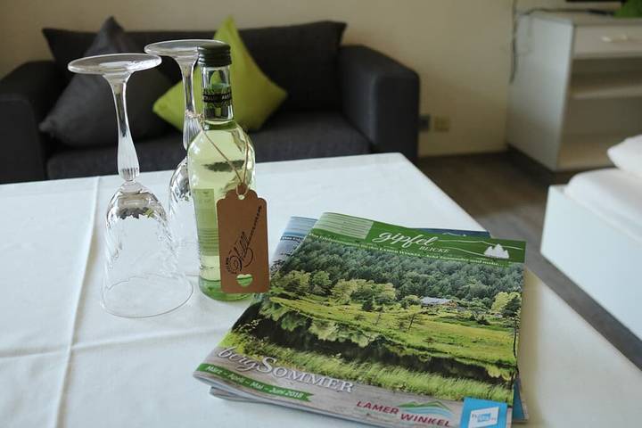 Ferienhaus für 3 Personen, mit Sauna und Pool sowie Balkon und Balkon/Terrasse in Lam - 3