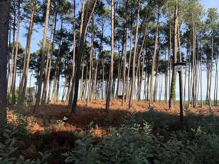 Camping pour 6 personnes, avec terrasse et piscine dans les Landes - 4