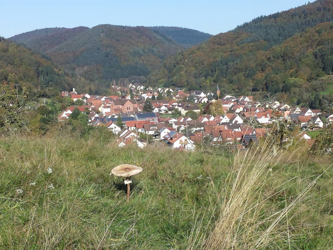 Ganze Ferienwohnung, Ferienwohnung am Sulzbach - Ferienwohnung am Sulzbach in Eußerthal, Südliche Weinstraße