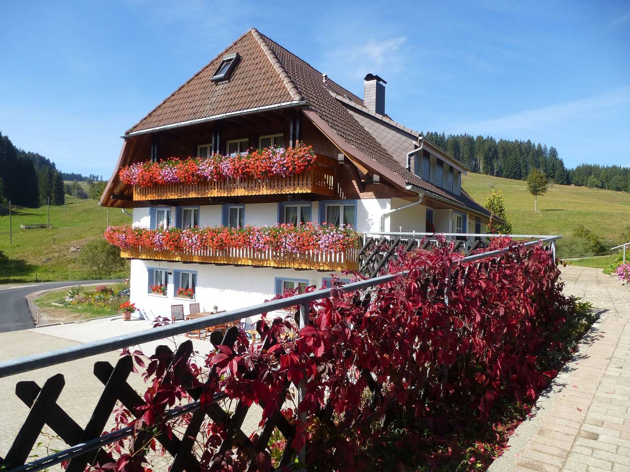 Ganze Wohnung, Gästehaus Josenmühle - Ferienwohnung Kamille,Tal und Bergblick, Balkon, Mitten im Grünen in Titisee-Neustadt, Südschwarzwald