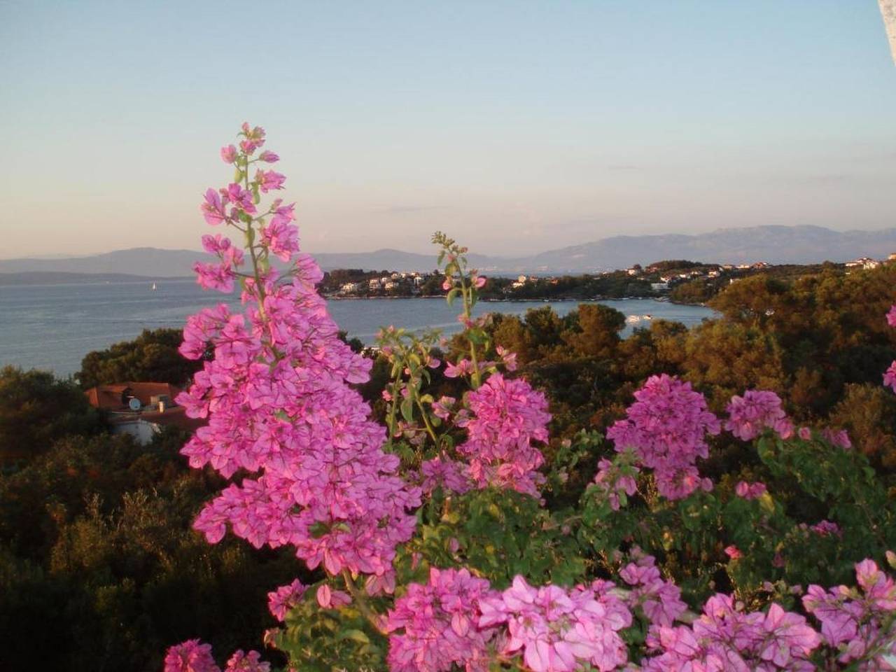 Ganze Wohnung, Apartment Nansi in Necujam, Solta