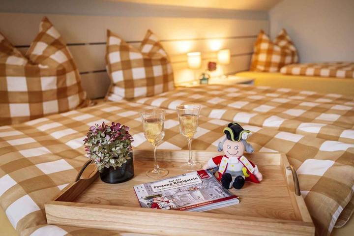 Ferienwohnung für 6 Personen, mit Terrasse und Garten sowie Ausblick in Heidenau