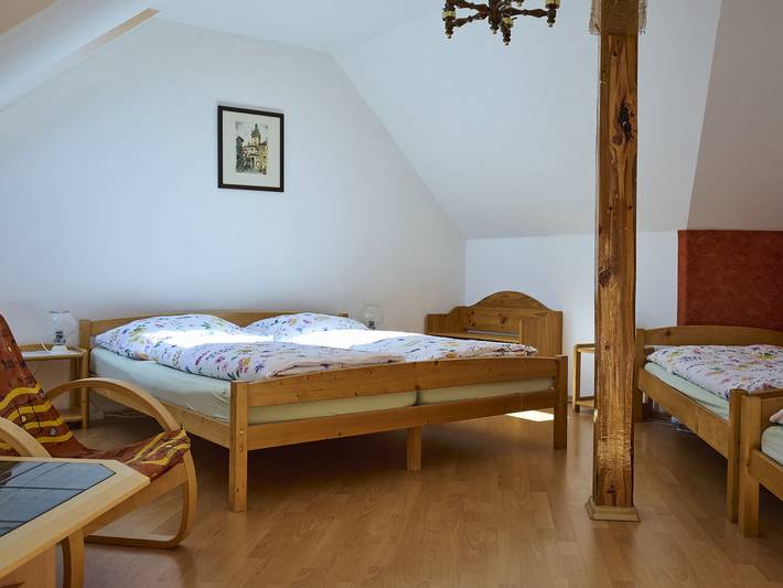 Apartament wakacyjny dla 8 osób, z balkon i ogród, zwierzęta dozwolone w Harrachov