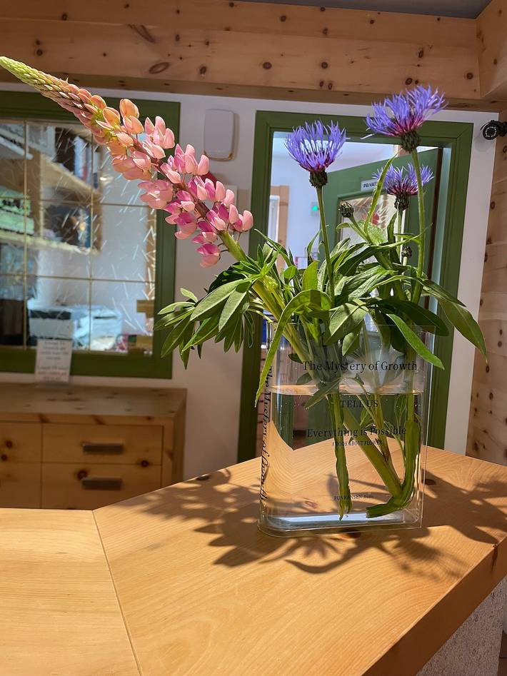 Chambres d'hôtes 'Fedaia Joy' avec vue sur la montagne, balcon et Wi-Fi in Alba (Canazei), Canazei