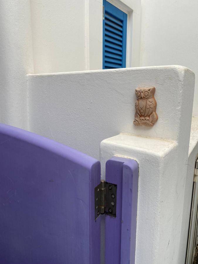 Location de vacances pour 4 personnes, avec vue et terrasse, animaux acceptés dans Stromboli - 3