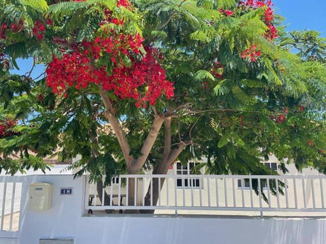 Location de vacances pour 5 personnes, avec jardin à Tarajalejo - 2