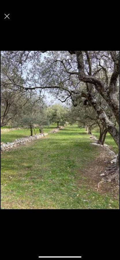 Location de vacances pour 6 personnes, avec terrasse ainsi que vue et jardin, animaux acceptés à Mons (Var) - 3