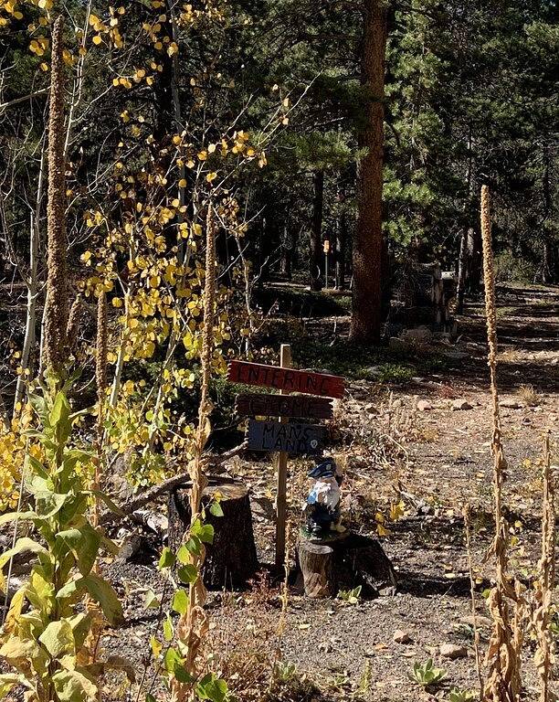 Wandern und Radfahren direkt vor der Haustür - Roosevelt National Forest in Arapaho and Roosevelt National Forests