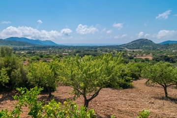 Finca in Son Servera, Mallorca Osten Finca in Son Servera, Mallorca Osten für 6