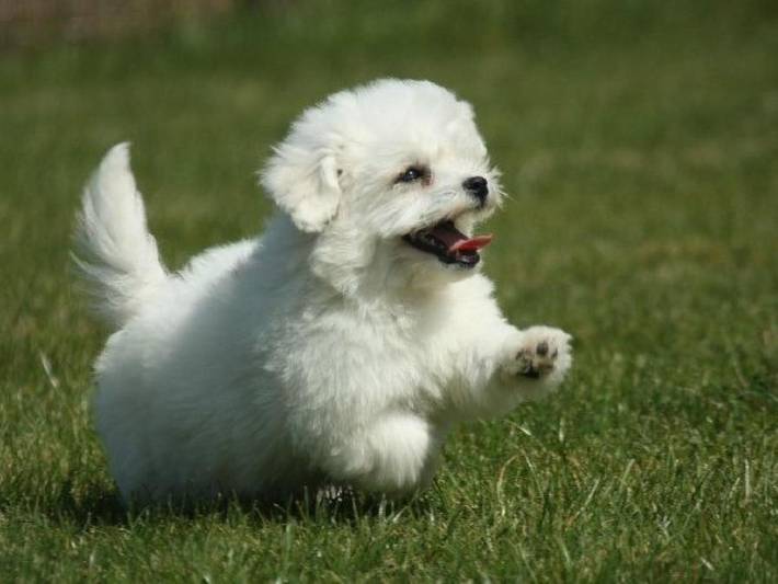 Location de vacances pour 4 personnes, avec jardin et terrasse à Lanquais - 2