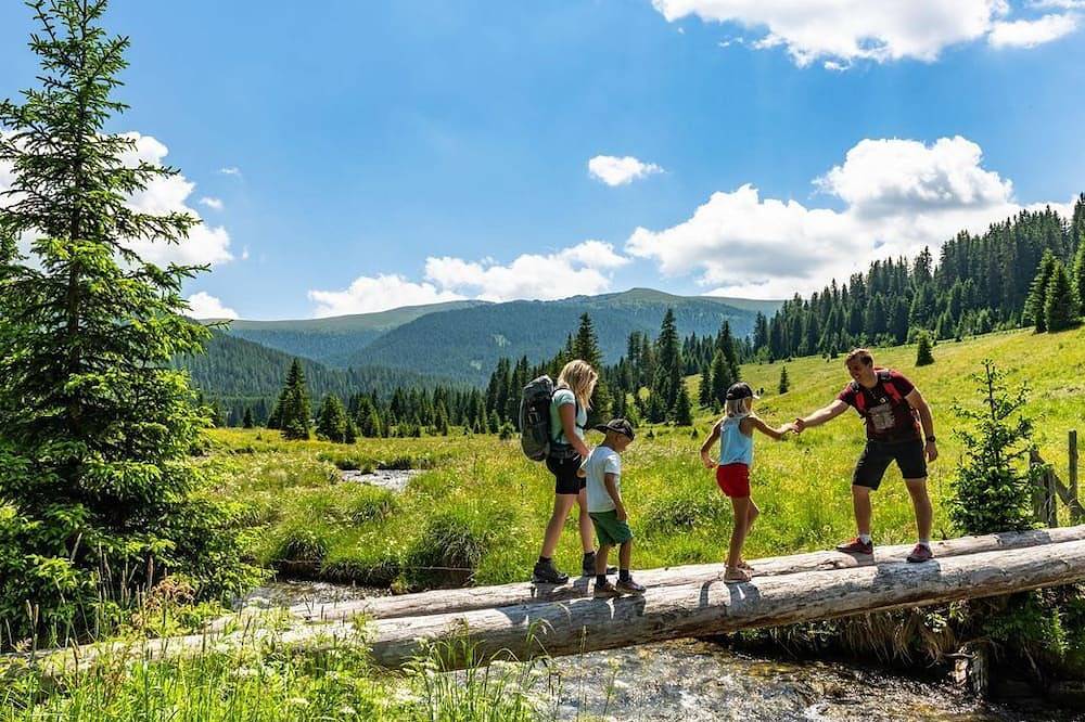 Almhaus Völkl - Ferienwohnung Elisabeth in Metnitz, Mittelkärnten