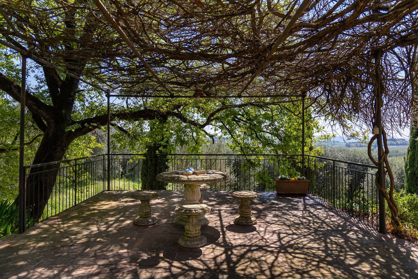 Il Leccio, Vinci, Private Pool and Tennis - Il Leccio in Vinci, Firenze province