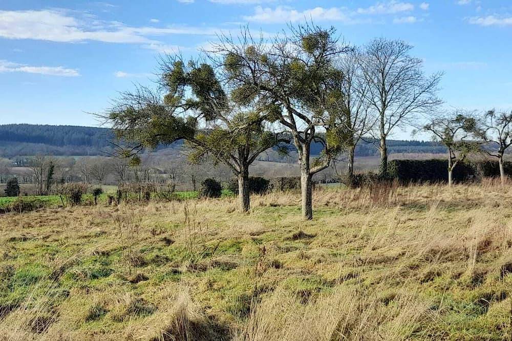 Charming cottage with astonishing view on countryside in Carrouges, Parc naturel régional Normandie-Maine
