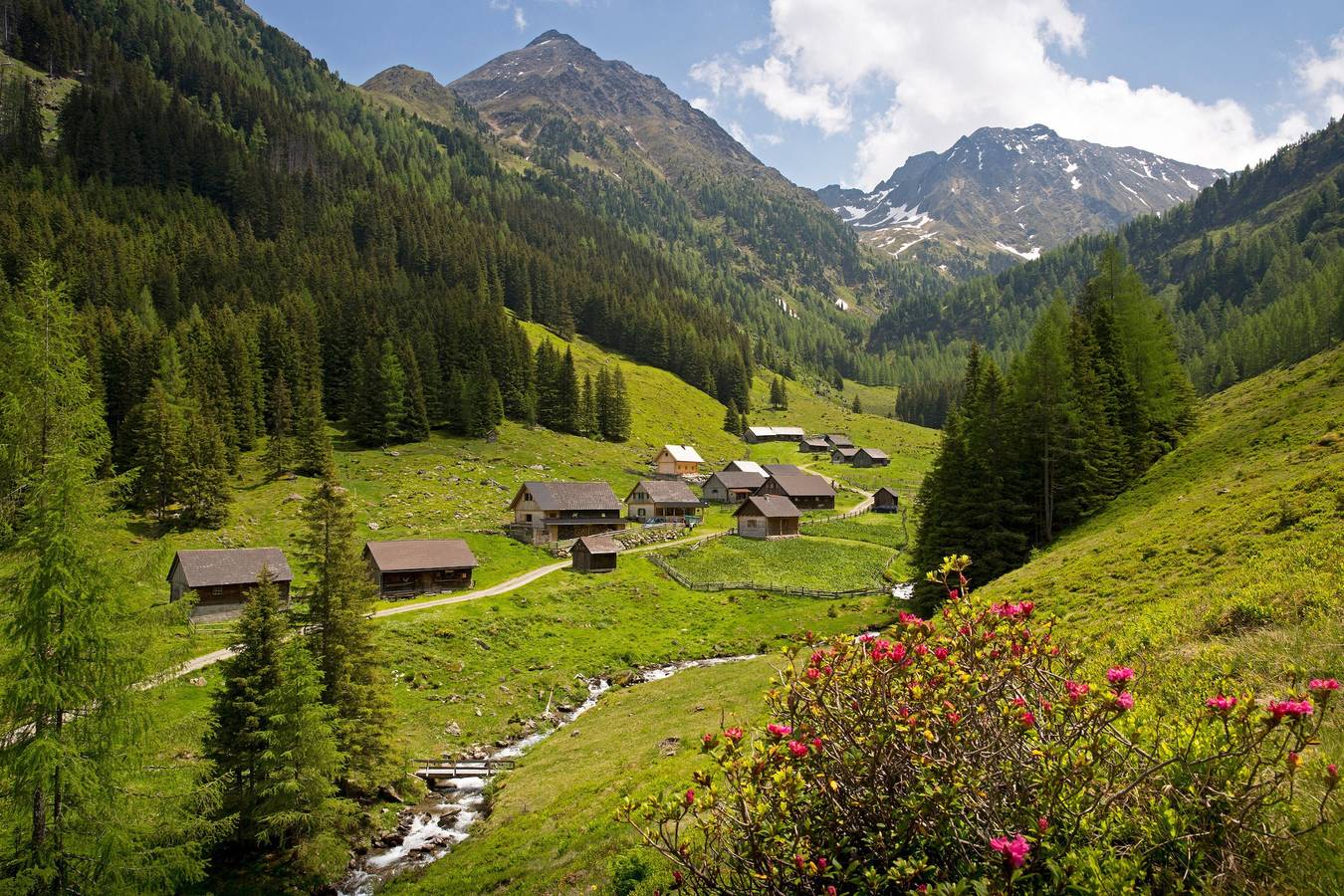 Ganze Wohnung, Apartment Amalia mit Bergblick, Balkon und Wlan in Kleinsölk, Tauern