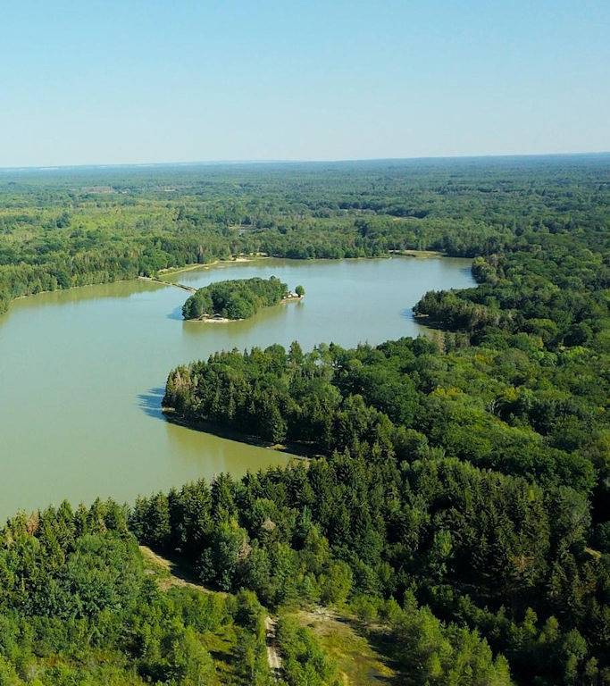 Gîte pour 3 personnes, avec terrasse et jardin ainsi que piscine et vue sur le lac à Souesmes