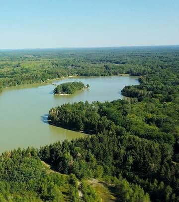 Gîte pour 3 personnes, avec jardin et vue sur le lac ainsi que terrasse et piscine à Souesmes