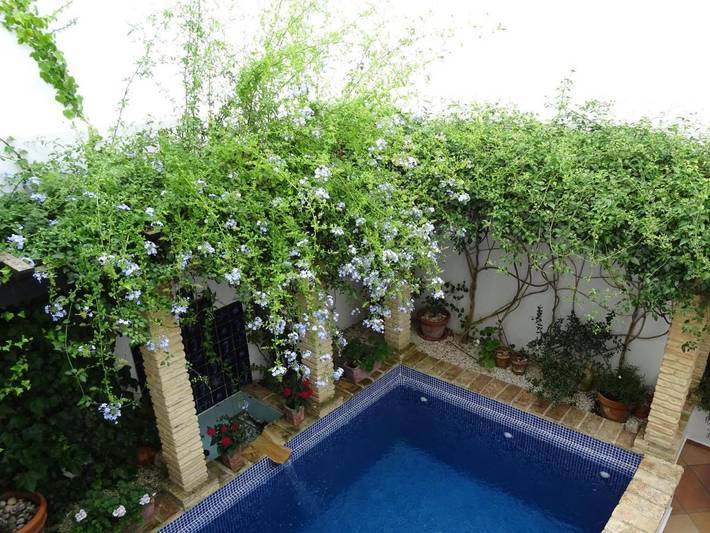 Maison d’hôte pour 2 personnes, avec Balcon et Terrasse ainsi que Jardin et Piscine à Medina-Sidonia