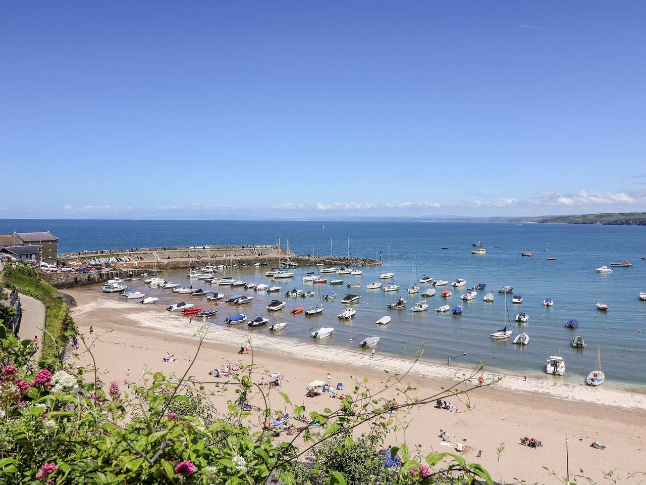 Fronwig in New Quay, Cardigan Bay
