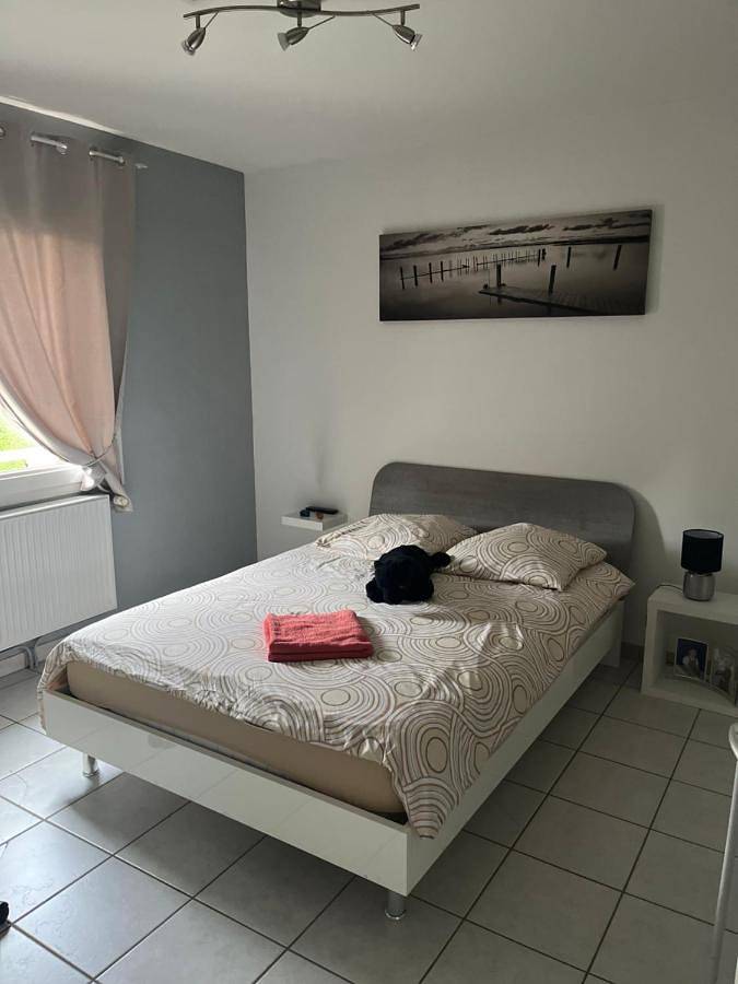 Gîte pour 4 personnes, avec vue et terrasse à Andrézieux-Bouthéon - 3