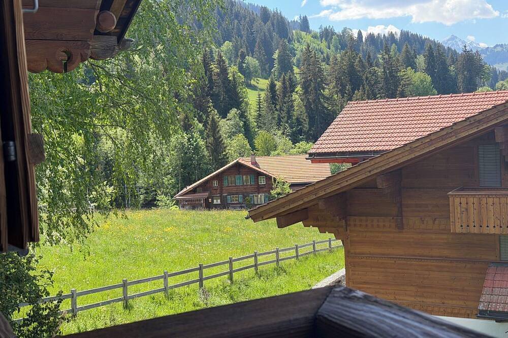 Ganze Wohnung, Hivernants Le Premier Appartement/Fewo, Dusche und Bad, Wc 4-Bettwohnung in Saanenmöser, Saanen