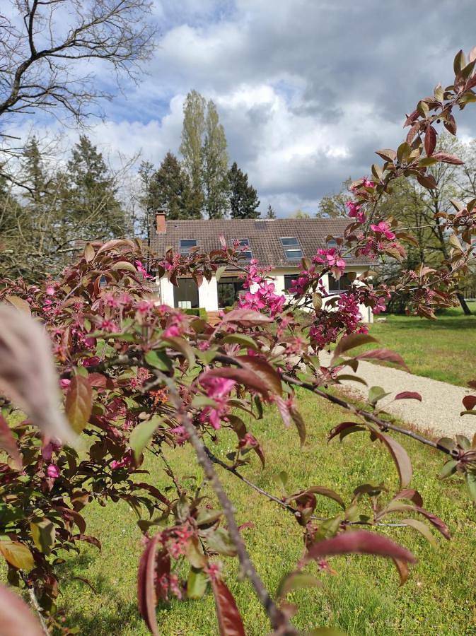 Eight-Bedroom House in Saint-Gervais-en-Belin, Sarthe