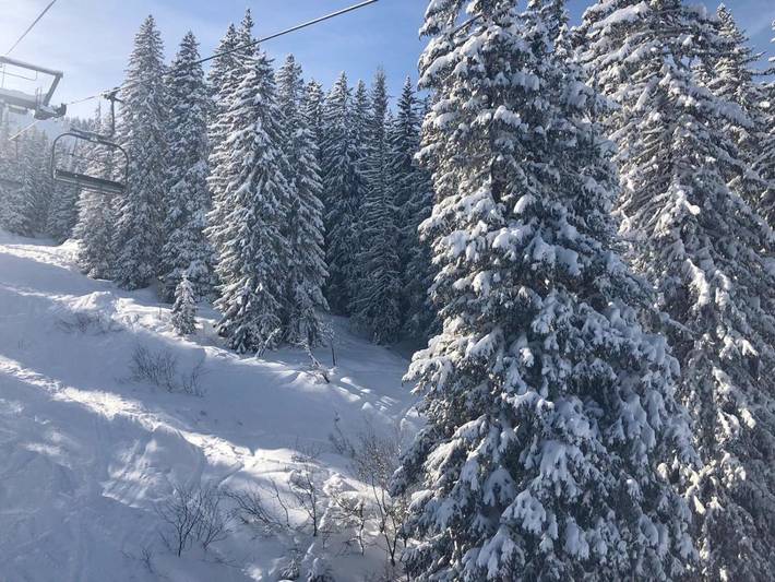 Gîte pour 11 personnes, avec vue et jardin, animaux acceptés dans Morgins - 3