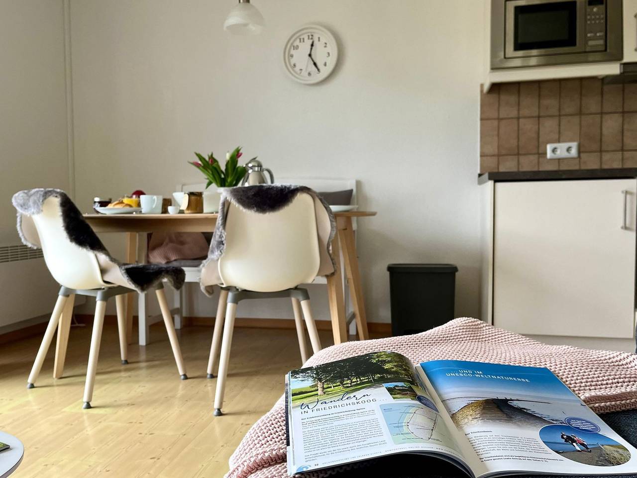 Ganze Ferienwohnung, Ferienwohnung Nordseenest - Ferienwohnung Nordseenest in Friedrichskoog-Spitze, Friedrichskoog
