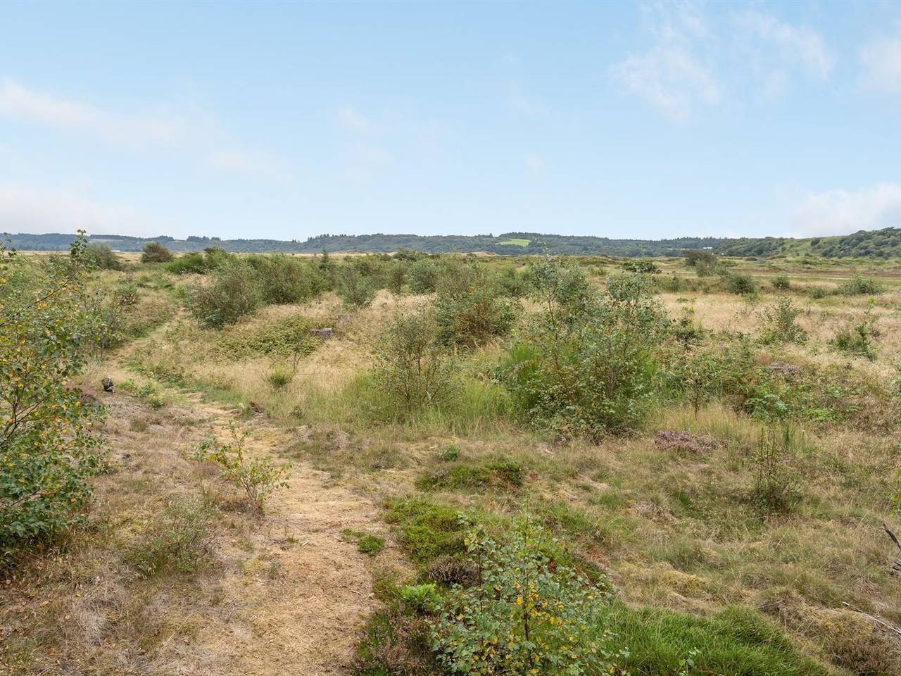 "Waldar" - 900m from the sea in Slettestrand, Jammerbugt