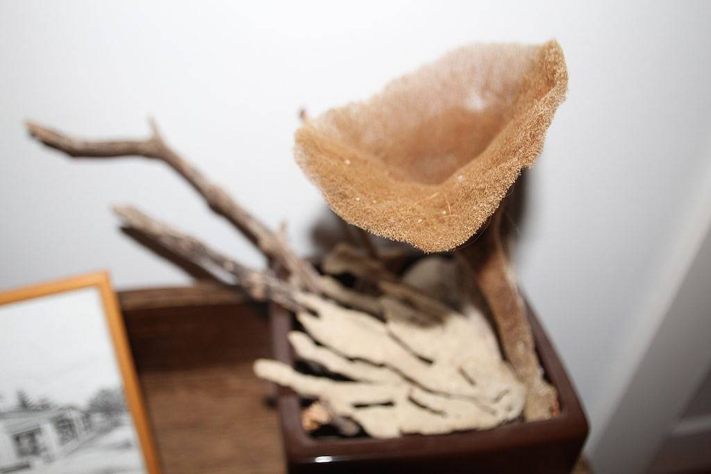 Esplanade Beach House in Adelaide, South Australia