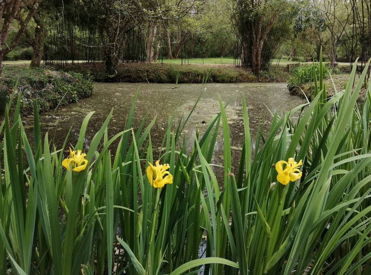 En pleine nature - gite avec piscine proche Zoo de la Flèche in Savigné-sous-le-Lude, Vallée de la Loire