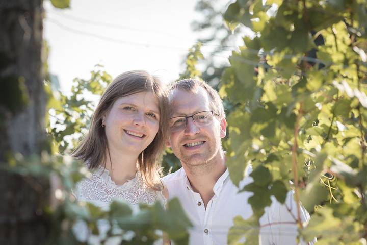 Weingut Zur Schlafmütze Fam. Parth - Ferienwohnung L.Berg (46qm) mit Balkon und Küchenzeile in Herrnbaumgarten, Mistelbach (Niederösterreich)