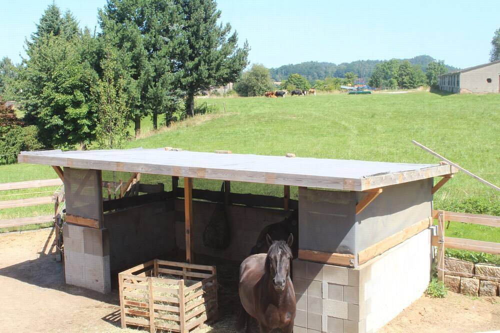 Ganze Wohnung, Moderne Ferienwohnung mit großem Außenbereich, Familien- und Haustierfreundlich in Struppen, Elbsandsteingebirge
