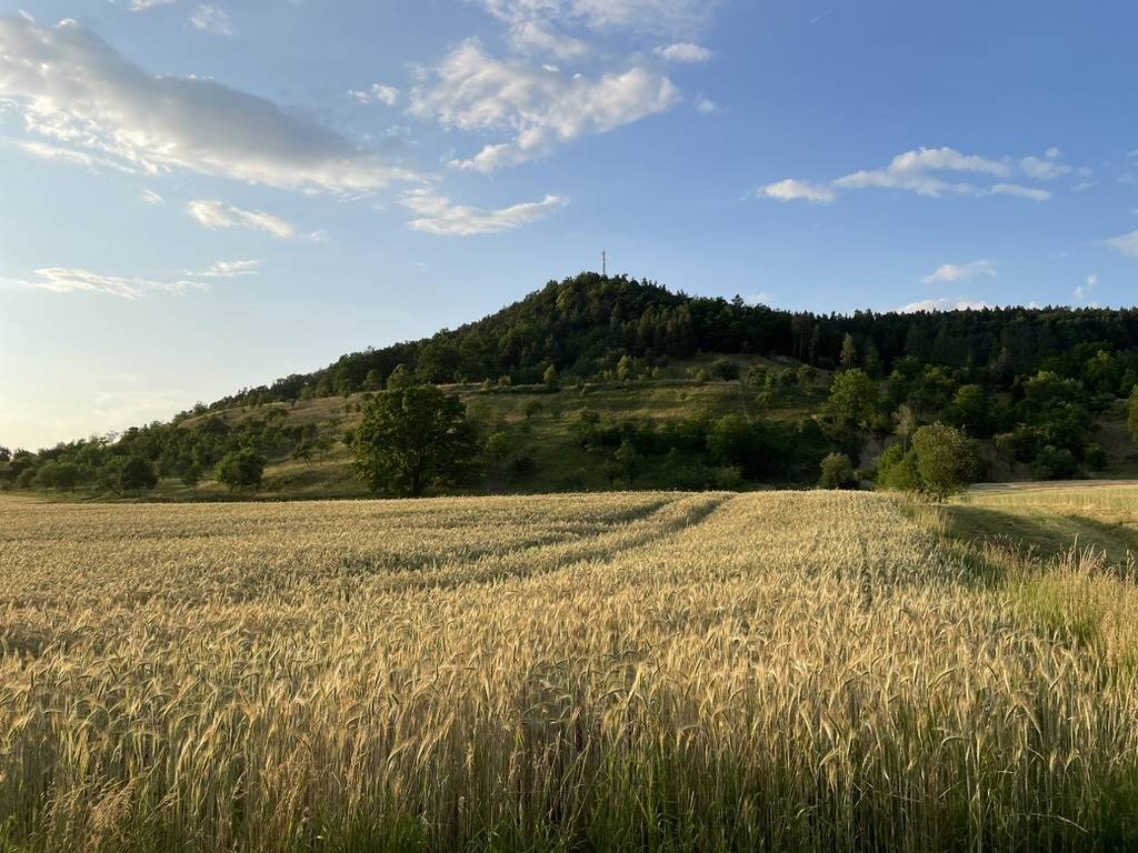 Ganze Ferienwohnung, Gästehaus Juhl - Zimmer 6 - Deluxe Einzelzimmer mit Blick auf die Burg Hohenzollern in Rangendingen, Neckar-Alb